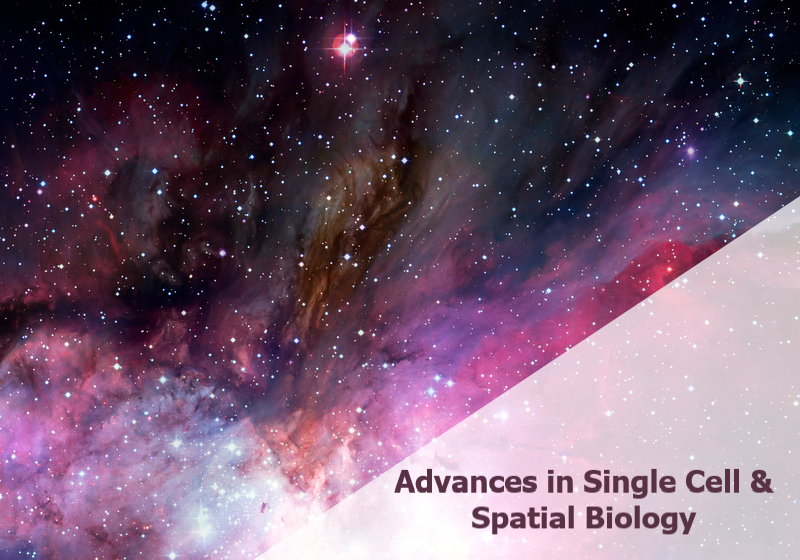 Spatial Biology, Single-cell Biology and Genomics